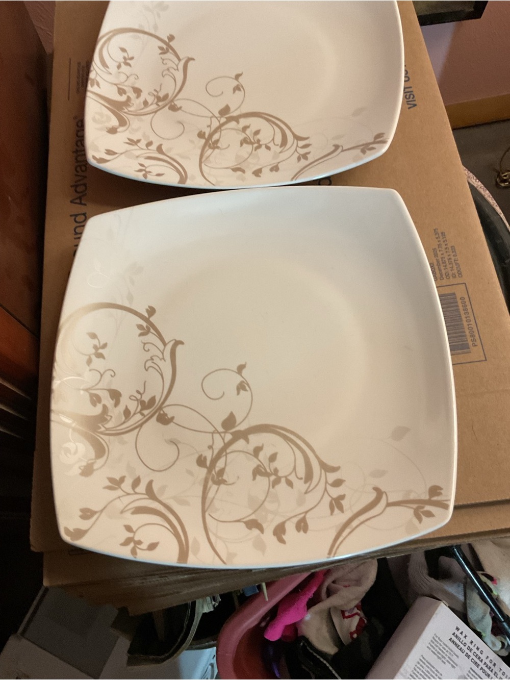 2 Dinner Plates 10 1/8" Whitney by coventry
